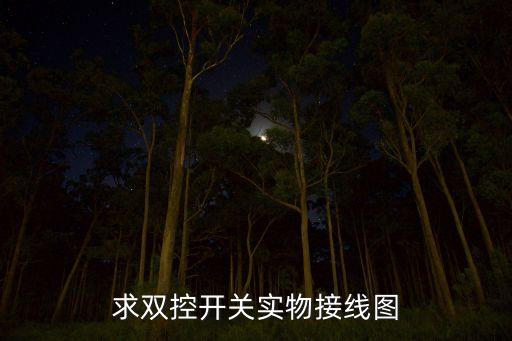 求雙控開關(guān)實(shí)物接線圖