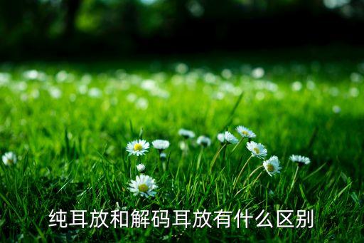 解碼耳放，純耳放和解碼耳放有什么區(qū)別