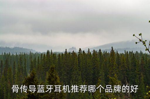 骨傳導(dǎo)藍牙耳機推薦哪個品牌的好