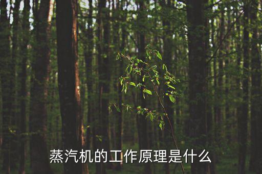 蒸汽機(jī)的工作原理是什么