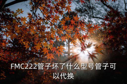 222yn，我手頭有一個三個引腳絲印上寫著1211 TOP222YN 84946A請問各位