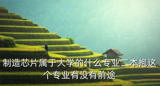 芯片屬于什么專業(yè)，芯片和機器人分別屬于大學的什么專業(yè)啊