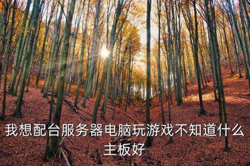 我想配臺服務(wù)器電腦玩游戲不知道什么主板好