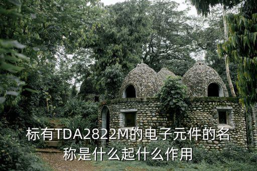 標(biāo)有TDA2822M的電子元件的名稱是什么起什么作用