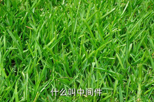 中間件，什么叫中間件
