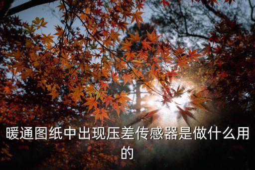 暖通圖紙中出現(xiàn)壓差傳感器是做什么用的