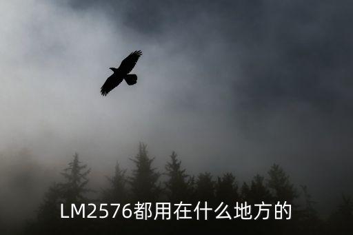 LM2576都用在什么地方的
