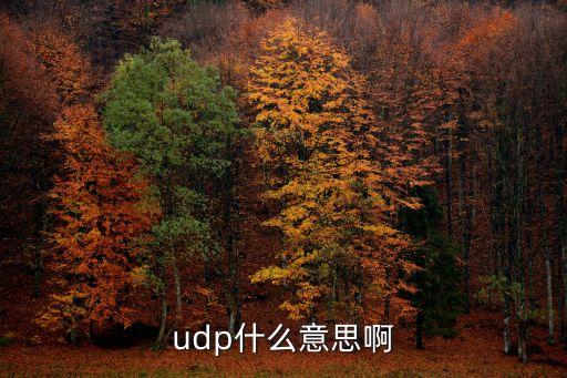 udp什么意思啊