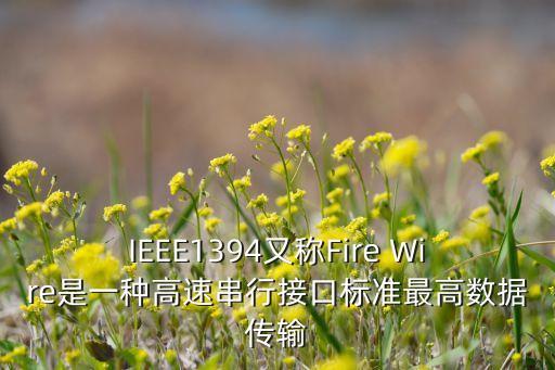 ieee1394，誰知道IEEE1394是什么