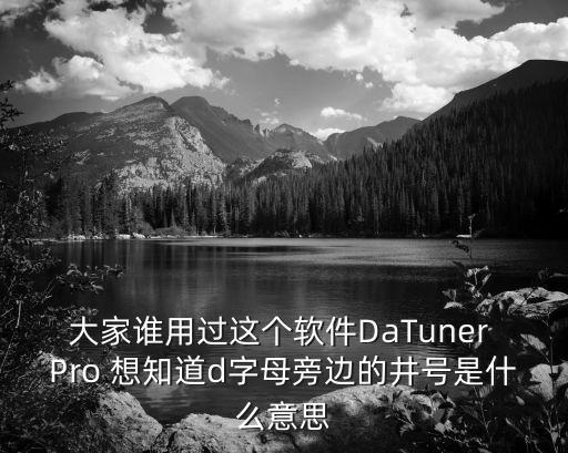 大家誰(shuí)用過這個(gè)軟件DaTuner Pro 想知道d字母旁邊的井號(hào)是什么意思