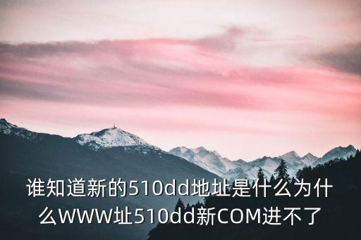 誰知道新的510dd地址是什么為什么WWW址510dd新COM進不了