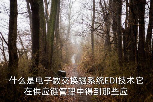 什么是電子數(shù)交換據(jù)系統(tǒng)EDI技術(shù)它在供應(yīng)鏈管理中得到那些應(yīng)