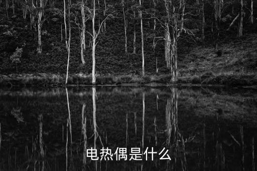 電熱偶是什么