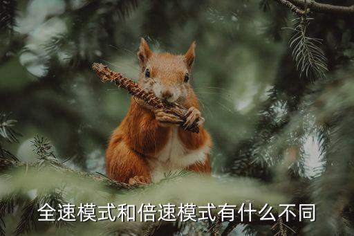 全速模式和倍速模式有什么不同