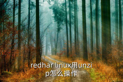 unzip命令，redhar linux用unzip怎么操作