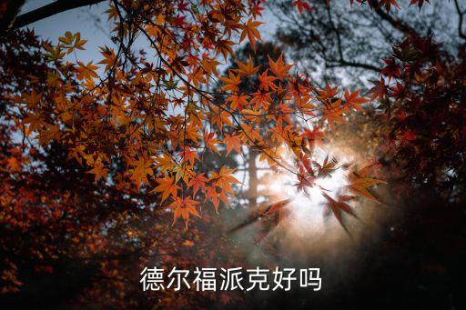 德爾福派克好嗎