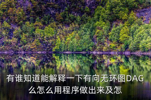 有向無環(huán)圖，有誰知道能解釋一下有向無環(huán)圖DAG么怎么用程序做出來及怎