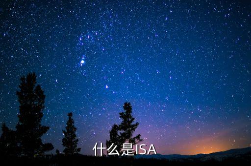 什么是ISA