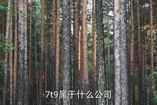 7t9，7t9充值