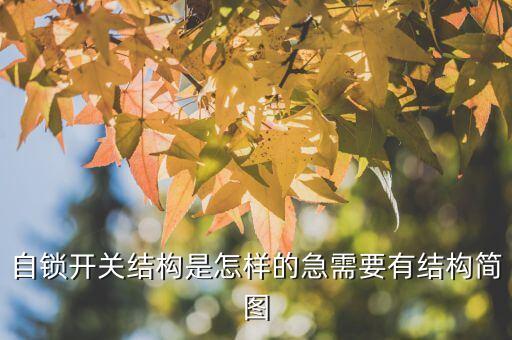 自鎖開關(guān)結(jié)構(gòu)是怎樣的急需要有結(jié)構(gòu)簡圖