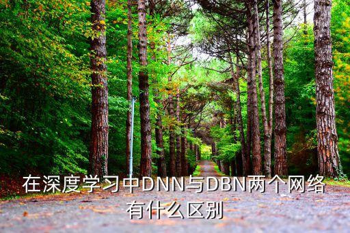在深度學(xué)習(xí)中DNN與DBN兩個網(wǎng)絡(luò)有什么區(qū)別