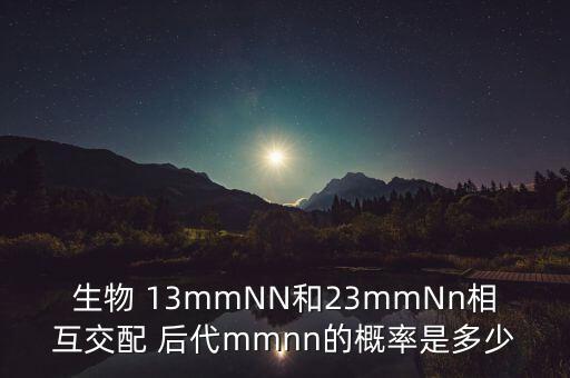 生物 13mmNN和23mmNn相互交配 后代mmnn的概率是多少