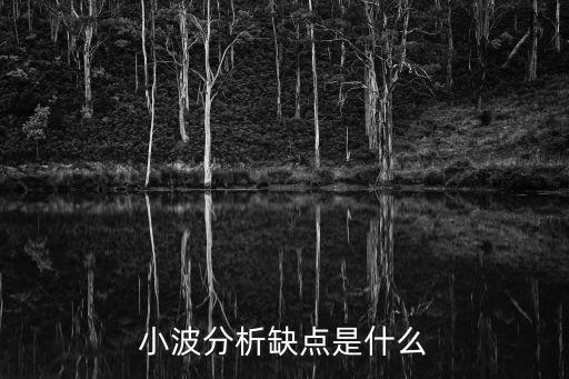 小波分析缺點是什么