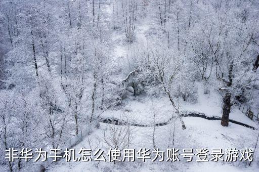 非華為手機(jī)怎么使用華為賬號登錄游戲