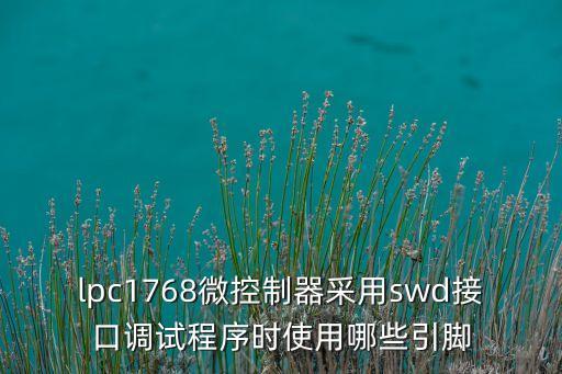 lpc1768微控制器采用swd接口調(diào)試程序時(shí)使用哪些引腳