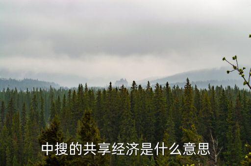 共享經(jīng)濟(jì)的概念，重新定義商業(yè)何為企業(yè)共享經(jīng)濟(jì)