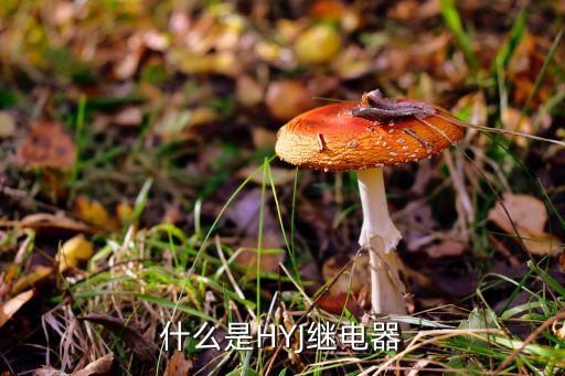 什么是繼電器，什么是HYJ繼電器