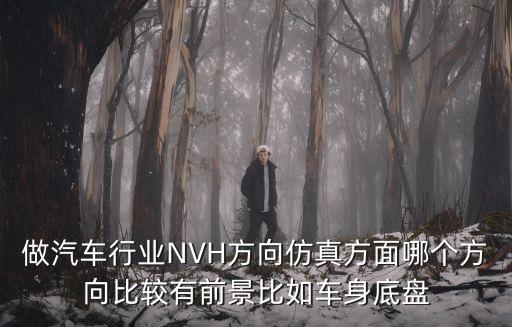 汽車nvh，做汽車行業(yè)NVH方向仿真方面哪個(gè)方向比較有前景比如車身底盤