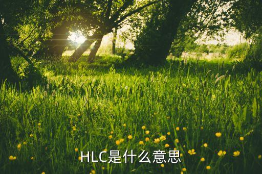 hlc是什么意思，HLC是什么意思