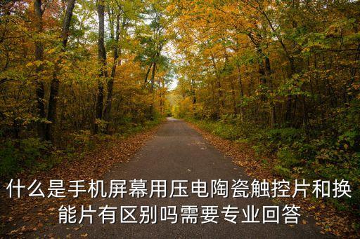什么是手機(jī)屏幕用壓電陶瓷觸控片和換能片有區(qū)別嗎需要專業(yè)回答