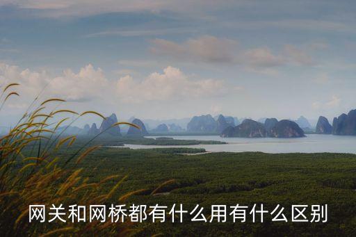 網(wǎng)關(guān)和網(wǎng)橋都有什么用有什么區(qū)別