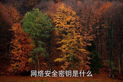 網(wǎng)絡安全密鑰是什么
