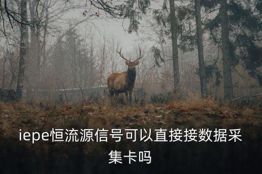 iepe恒流源信號可以直接接數(shù)據(jù)采集卡嗎
