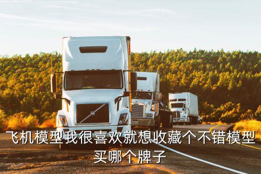 飛機(jī)模型我很喜歡就想收藏個(gè)不錯(cuò)模型買(mǎi)哪個(gè)牌子
