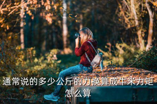 通常說的多少公斤的力換算成牛米力矩怎么算