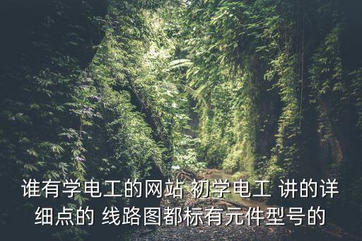 誰有學(xué)電工的網(wǎng)站 初學(xué)電工 講的詳細(xì)點的 線路圖都標(biāo)有元件型號的