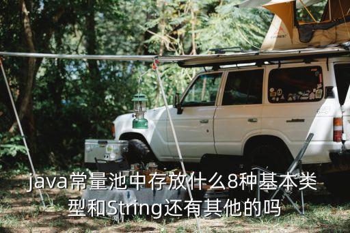 java常量池中存放什么8種基本類型和String還有其他的嗎