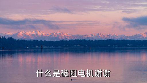 什么是磁阻電機謝謝