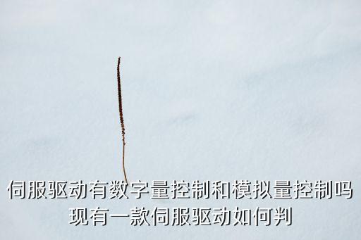 伺服驅動有數字量控制和模擬量控制嗎現(xiàn)有一款伺服驅動如何判