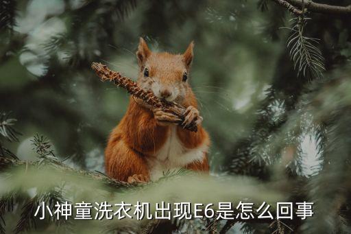 小神童洗衣機出現(xiàn)E6是怎么回事