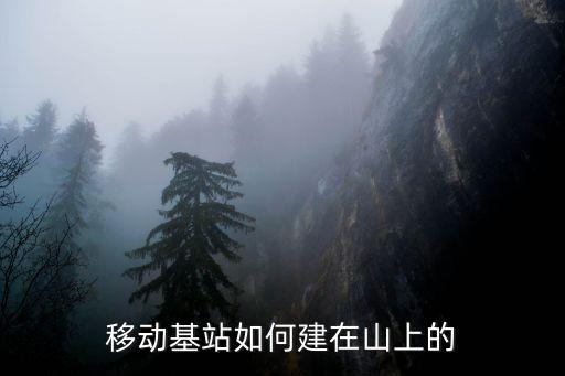 移動(dòng)基站如何建在山上的