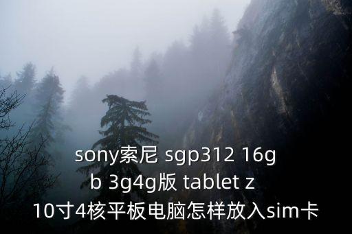 sgp30，sony索尼 sgp312 16gb 3g4g版 tablet z 10寸4核平板電腦怎樣放入sim卡