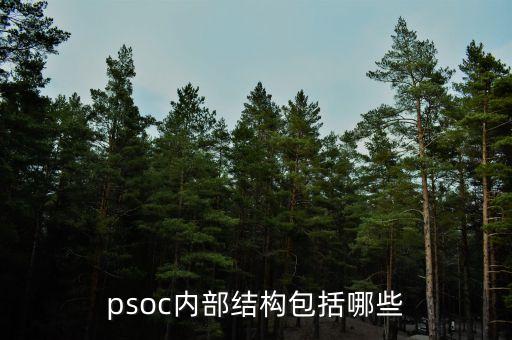psoc內(nèi)部結(jié)構(gòu)包括哪些