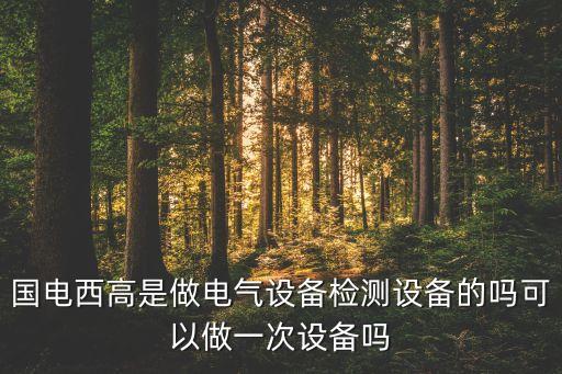 國電西高是做電氣設(shè)備檢測設(shè)備的嗎可以做一次設(shè)備嗎