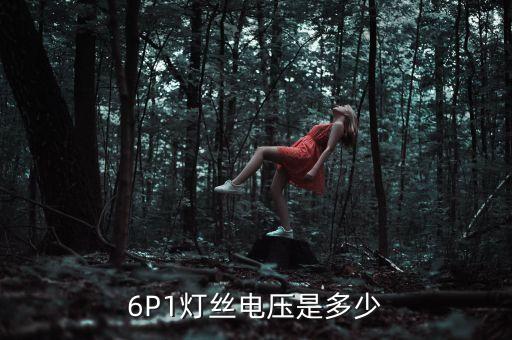 6p1電子管參數(shù)，6P1電子管 引腳參數(shù)高手請進(jìn)
