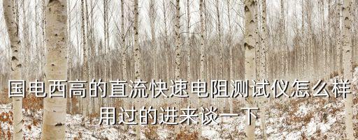 國電西高的直流快速電阻測試儀怎么樣用過的進來談一下